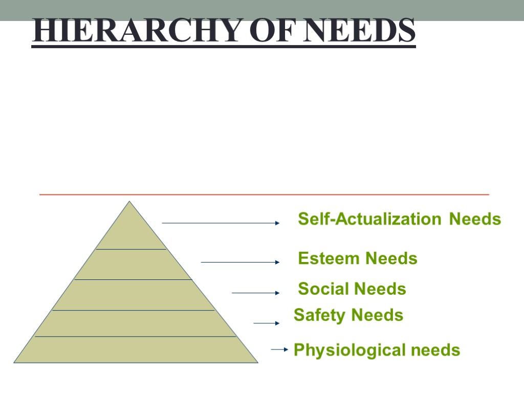Hierarchy of Needs Physiological needs Safety Needs Social Needs Esteem Needs Self-Actualization Needs